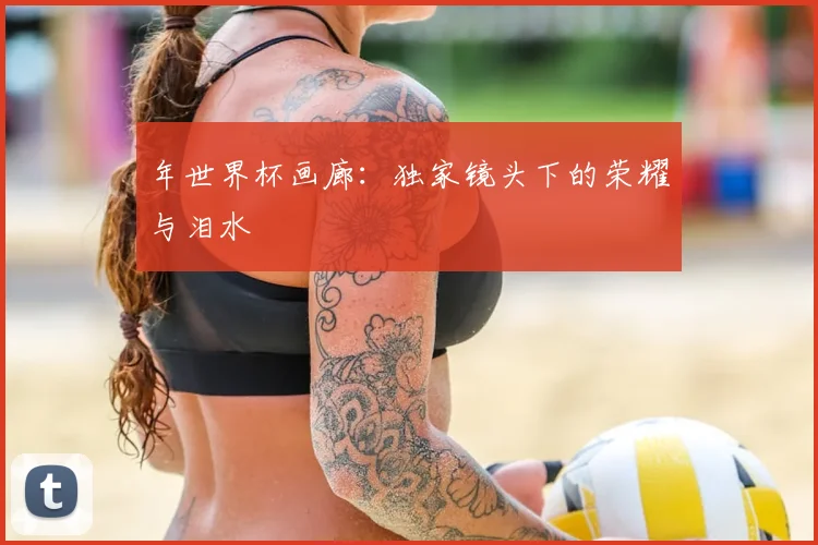 年世界杯画廊:独家镜头下的荣耀与泪水
