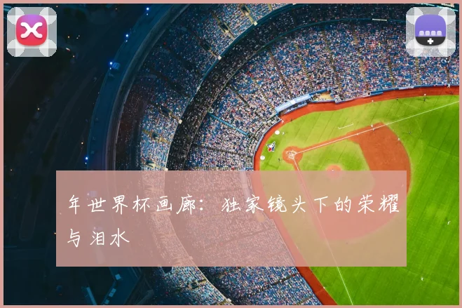 年世界杯画廊:独家镜头下的荣耀与泪水