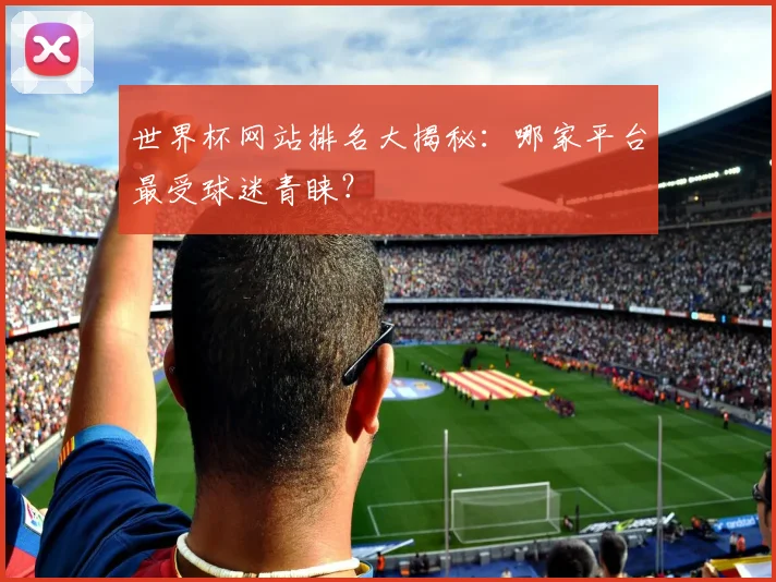世界杯网站排名大揭秘：哪家平台最受球迷青睐？