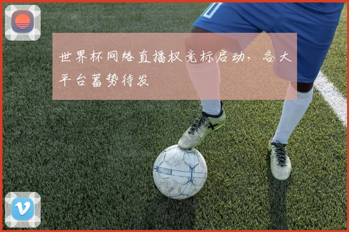 世界杯网络直播权竞标启动，各大平台蓄势待发