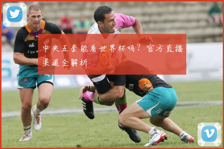 中央五套能看世界杯吗？官方直播渠道全解析
