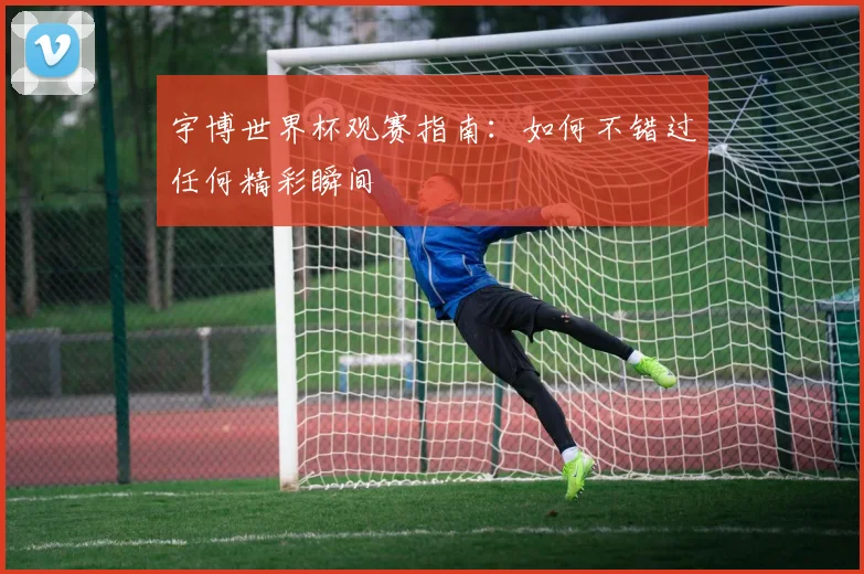 宇博世界杯观赛指南:如何不错过任何精彩瞬间