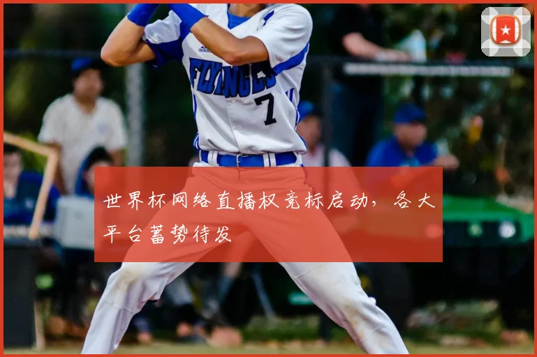 世界杯网络直播权竞标启动，各大平台蓄势待发