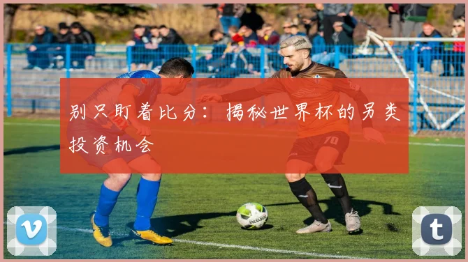 别只盯着比分：揭秘世界杯的另类投资机会